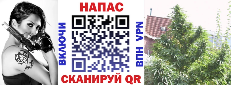 Каннабис Ganja Чапаевск